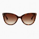 content – 2026-02-03T081525.344