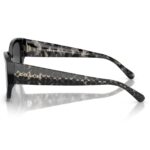 Coach-Sun 0HC8362U Model