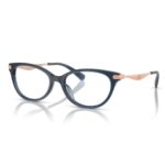 Coach-OPH 0HC6245U Model